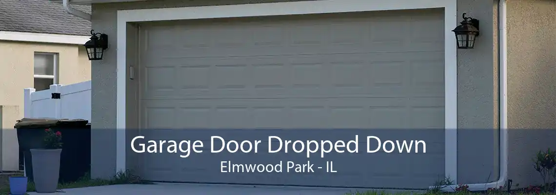 Garage Door Dropped Down Elmwood Park - IL