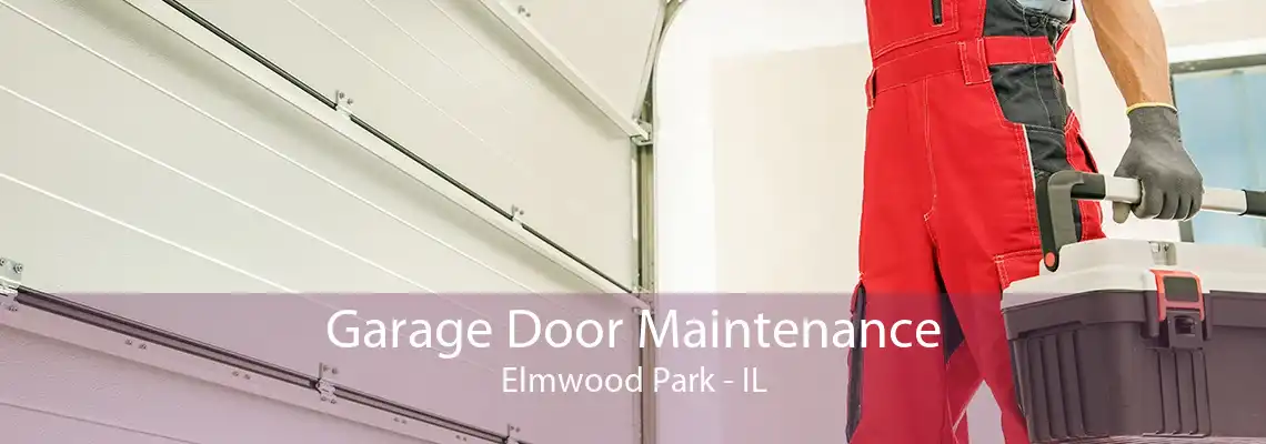 Garage Door Maintenance Elmwood Park - IL