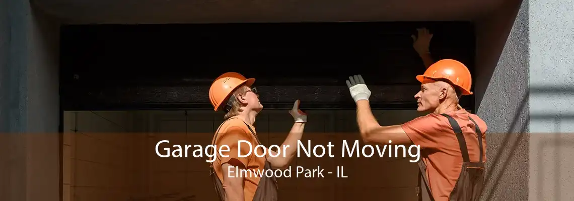 Garage Door Not Moving Elmwood Park - IL