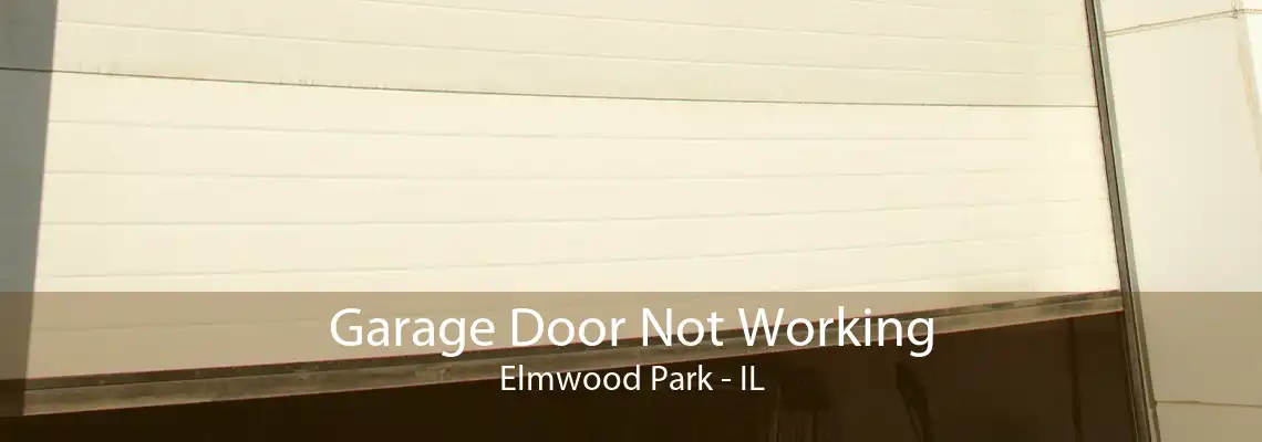 Garage Door Not Working Elmwood Park - IL