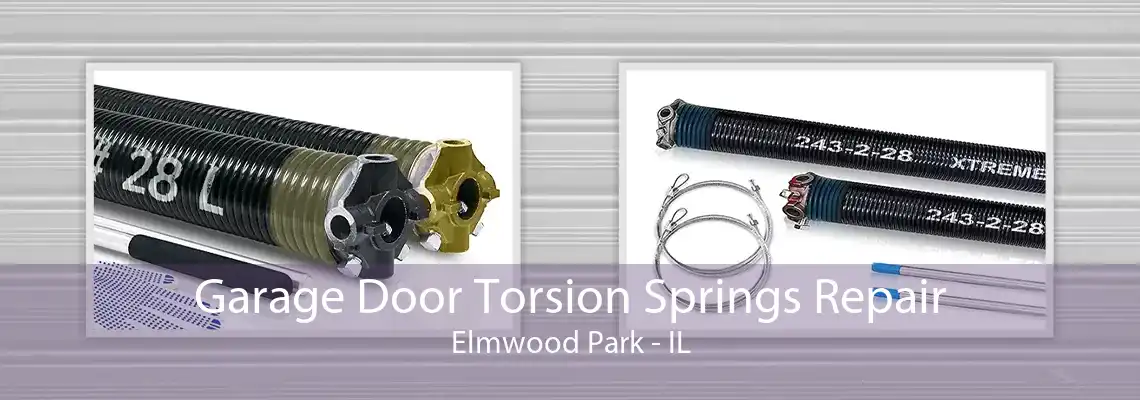 Garage Door Torsion Springs Repair Elmwood Park - IL