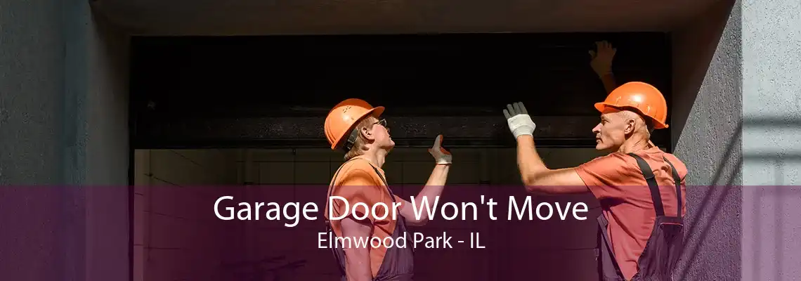 Garage Door Won't Move Elmwood Park - IL