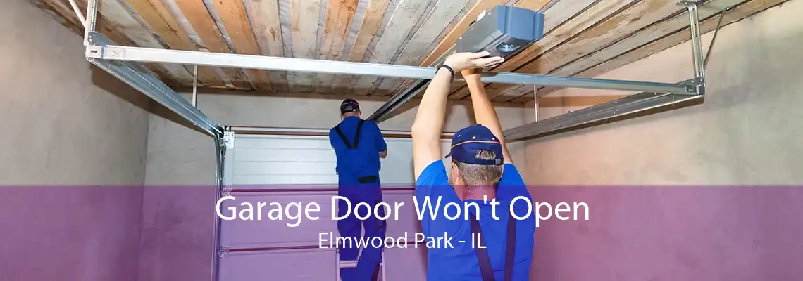 Garage Door Won't Open Elmwood Park - IL